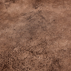 Image de détail du décor Caméo (1469 BR)