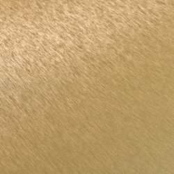 Image de détail du décor Alu Brossé Naturel Doré (3015 BN)