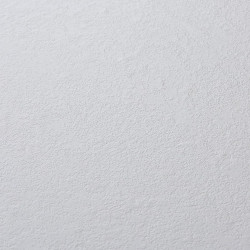 Image de détail du décor Blanc Hermine (810 PL)