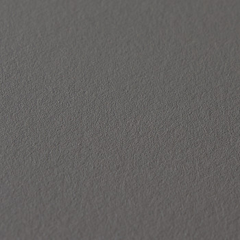 Image de détail du décor Grigio Scuro (1023 VE2)