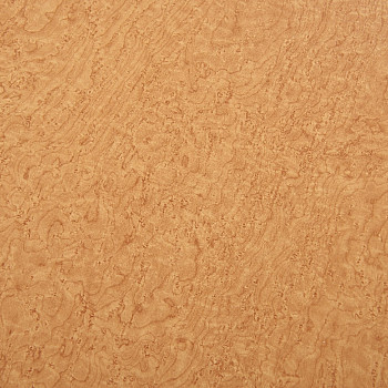 Image de détail du décor Loupe (2188 S)