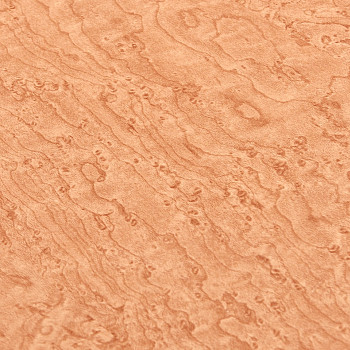 Image de détail du décor loupe (2188)