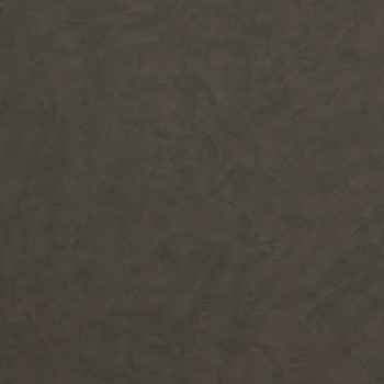 Image de détail du décor Zinc patiné (2926 PLUS+)