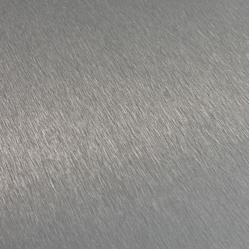 Image de détail du décor alu acier brossé naturel (3050BN)