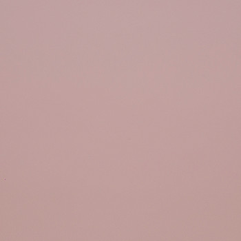 Image de détail du décor Rose Pastel (3096 SPA)