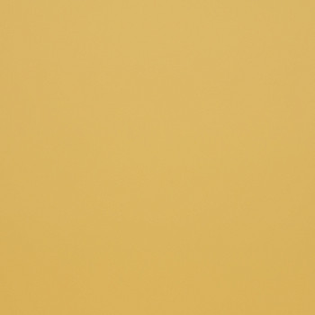 Image de détail du décor bouton d'or (3170 SPA)