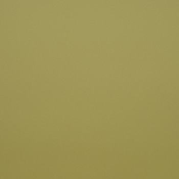 Image de détail du décor vert olive (3179 SPA)