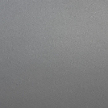 Image de détail du décor Cachemire Gris Argenté (7060 PE)