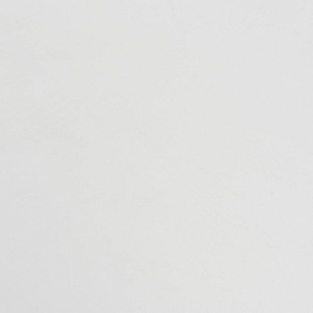 Image de détail du décor blanc ancien (800S)