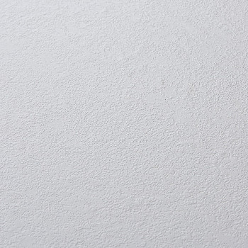 Image de détail du décor Blanc Hermine (810 PL)
