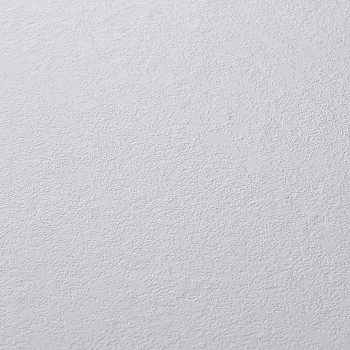 Image de détail du décor Blanc Hermine (810 PL)