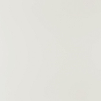 Image de détail du décor blanc ancien (900C)