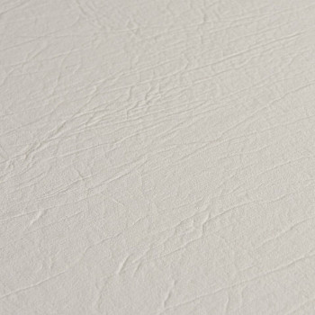 Image de détail du décor Blanc Ancien (900 CR)