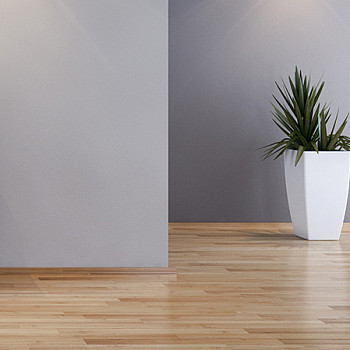 accueil_Dica_ambiance_2