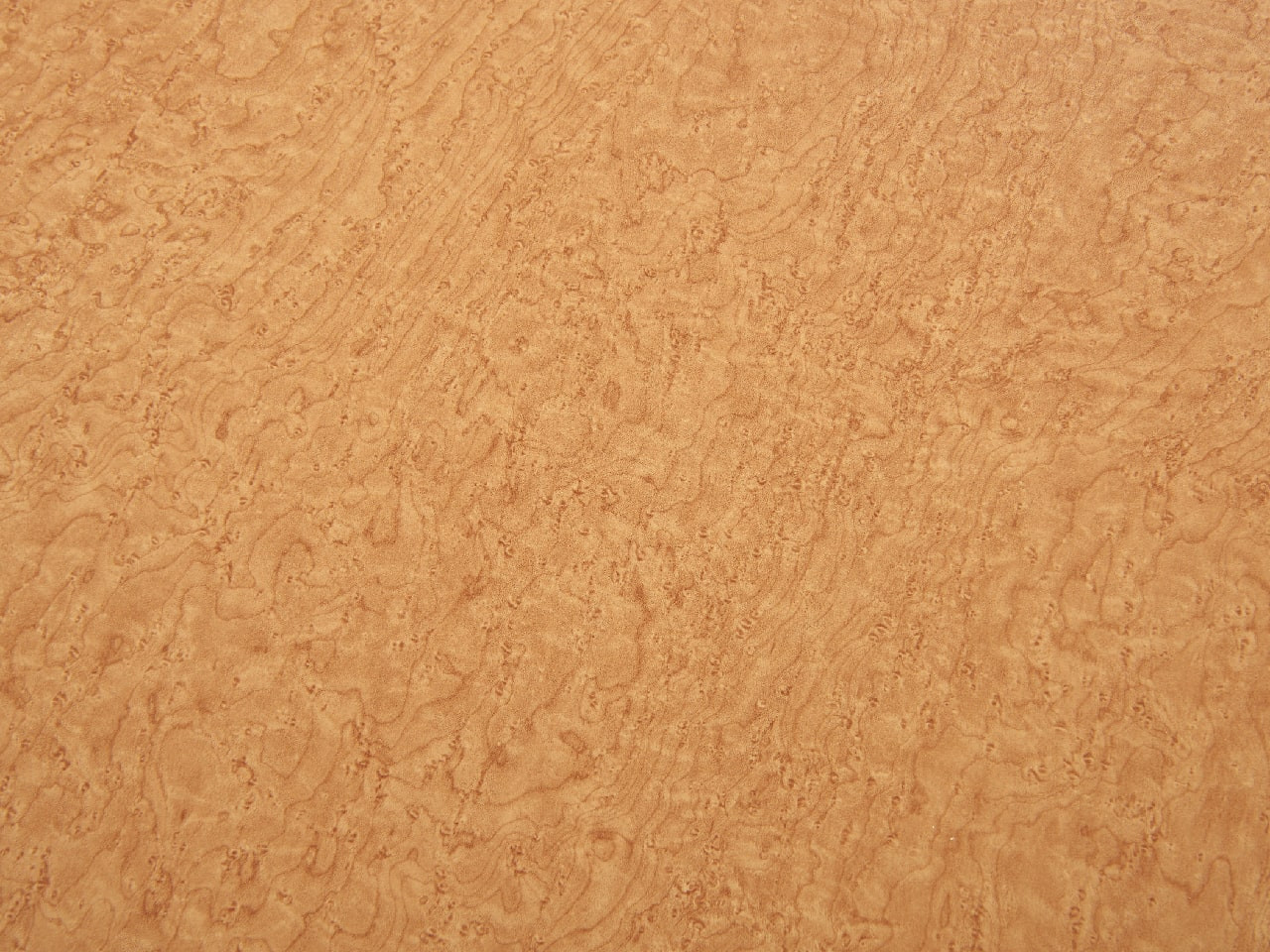 Image de détail du décor Loupe (2188 S)