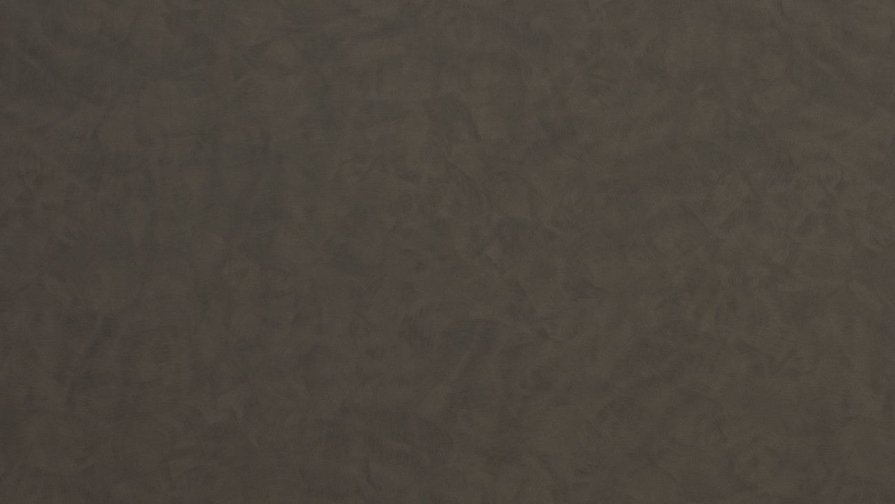 Image de détail du décor Zinc patiné (2926 PLUS+)