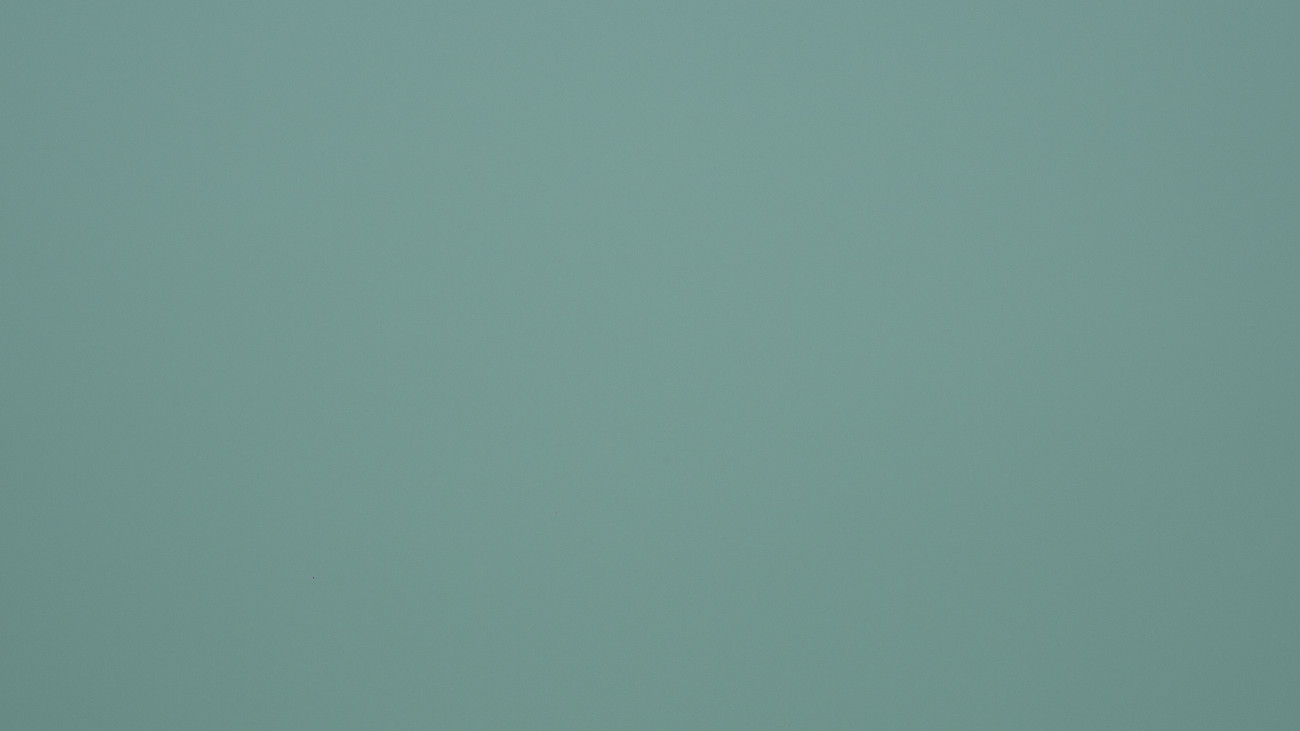 Image de détail du décor Vert d'eau (3133 PLUS+)
