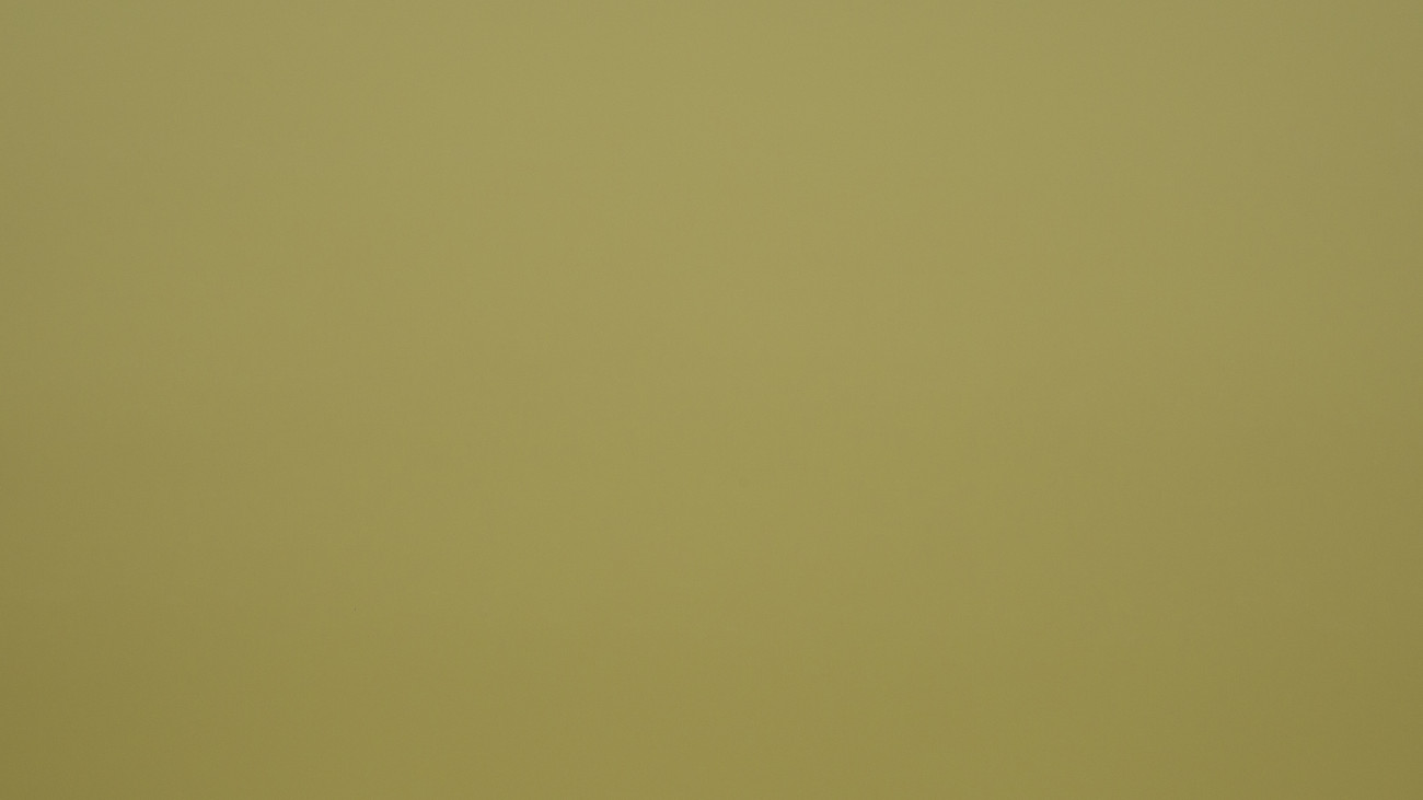 Image de détail du décor Vert Olive (3179 SPA)