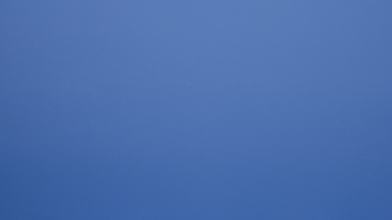 Image de détail du décor Bleu de France (3197 SPA)