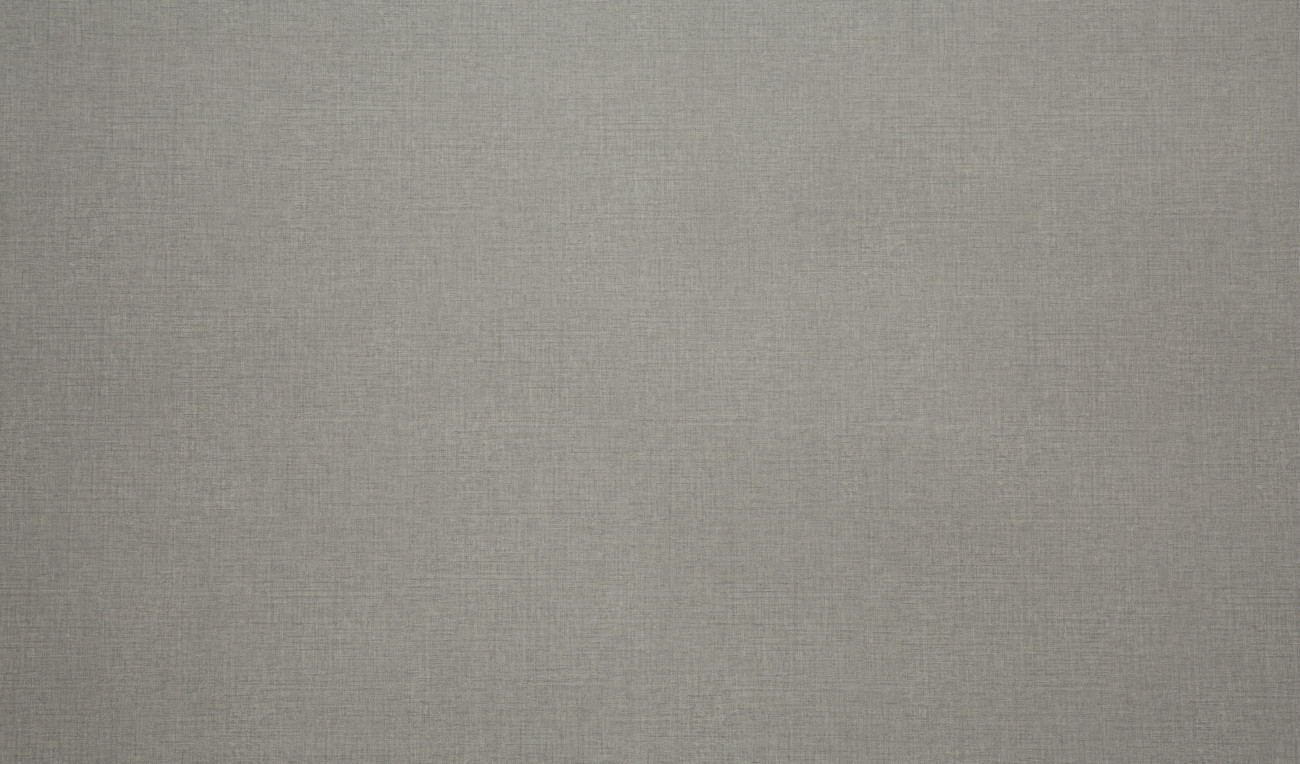 Image de détail du décor Lin Gris (4506 TI)