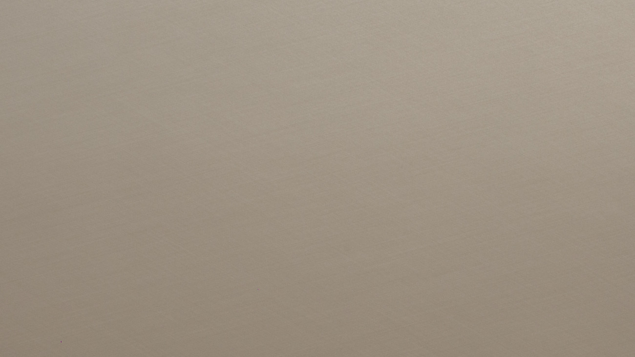 Image de détail du décor Cachemire Ivoire (7054 PE)