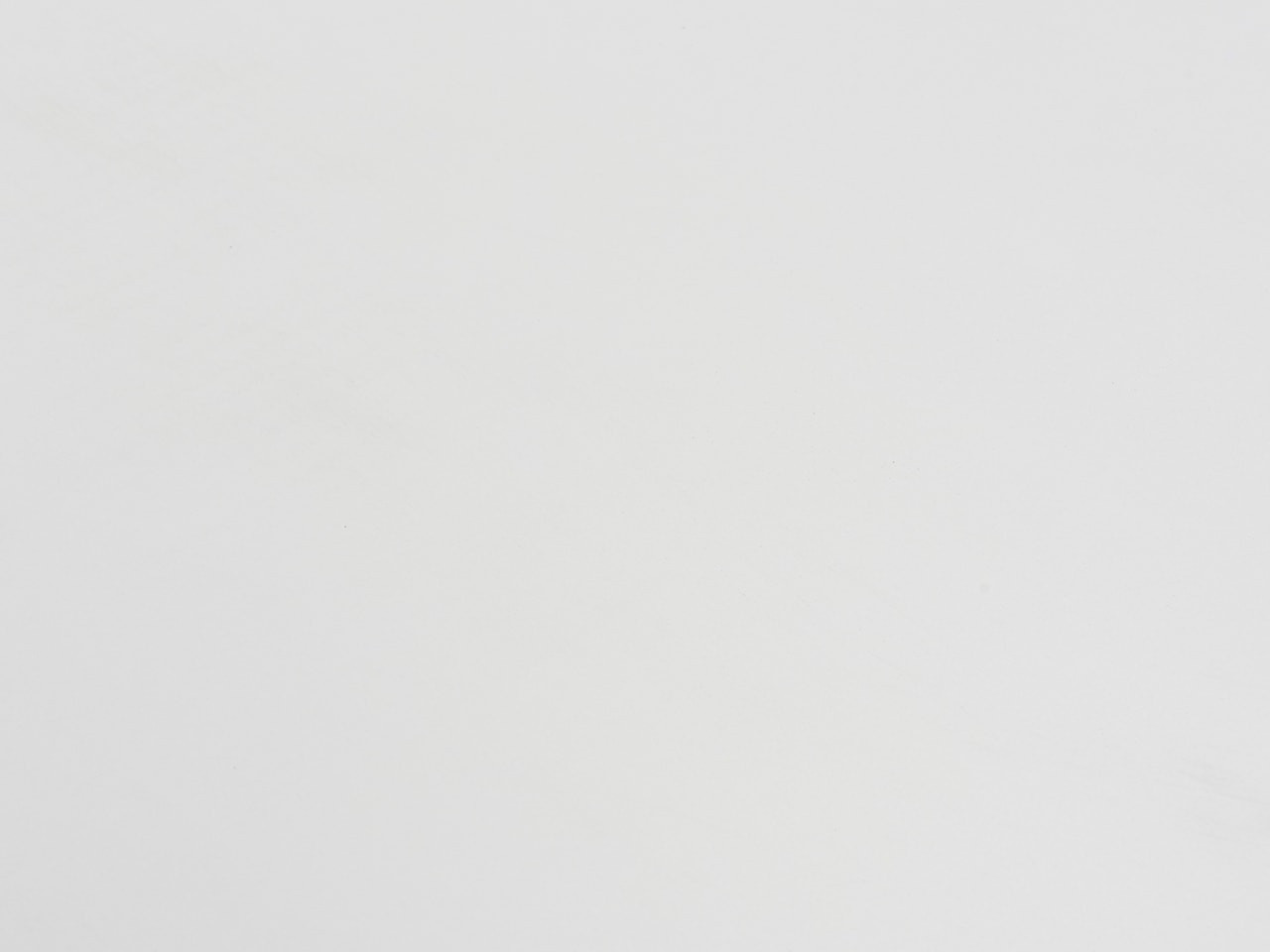 Image de détail du décor Blanc (CP blanc)
