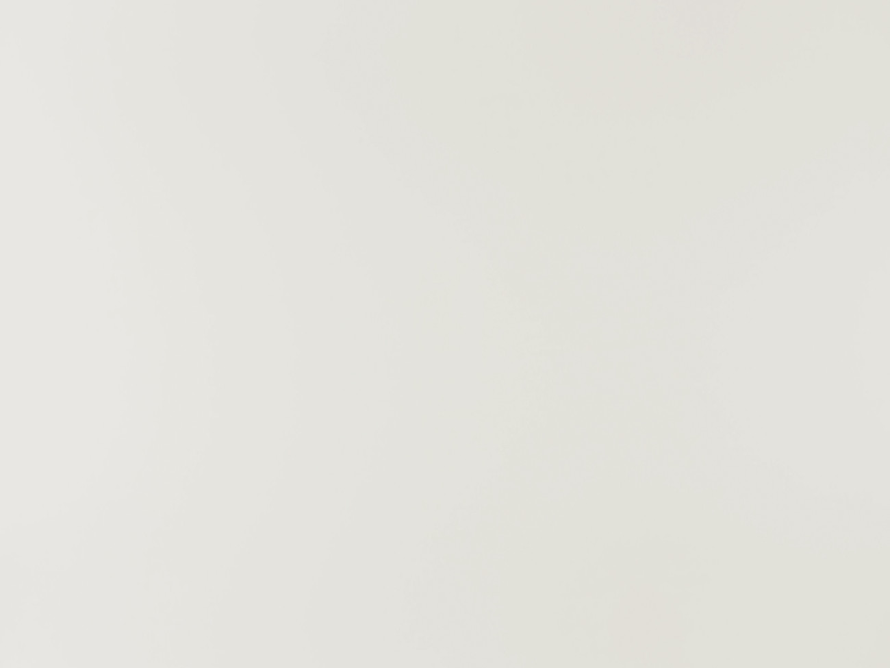 Image de détail du décor Blanc Ancien (900 C)