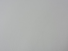 Image de détail du décor Gris (1365 CR)