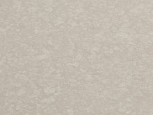 Image de détail du décor Perle Beige (1437 BR)