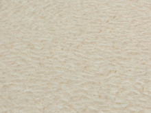 Image de détail du décor savana (1458B)