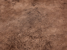 Image de détail du décor Caméo (1469 BR)