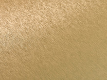 Image de détail du décor Alu Brossé Naturel Doré (3015 BN)