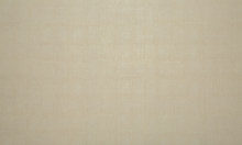 Image de détail du décor Etamine vanille (7553 PLUS+)