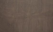 Image de détail du décor Veine d'Or (8070 PLUS+)