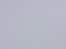 Image de détail du décor gris perle (931C)