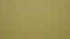 Image de détail du décor vert olive (3179 SPA)